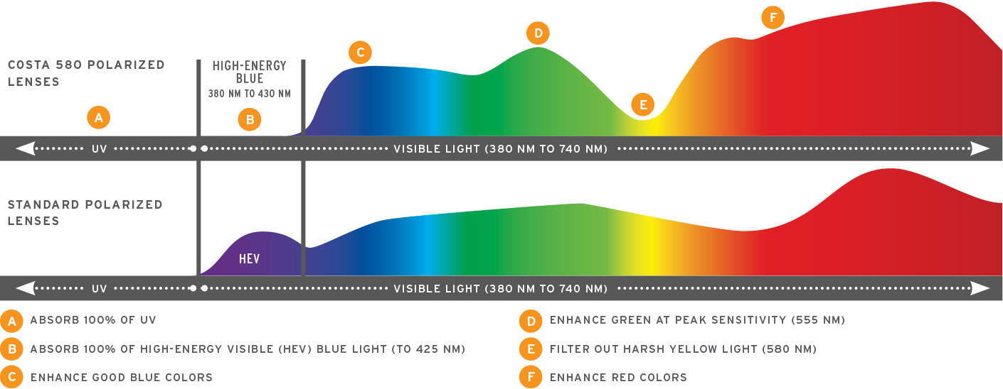 Costa lens shop color uses