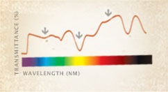 Costa Del Mar Lens Chart